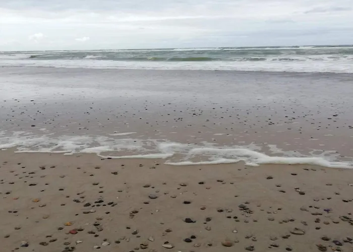 5 Star In Henne-by Traum *