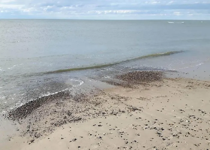 5 Star In Henne-by Traum *